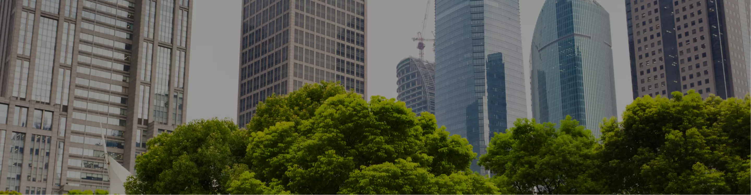 新傳建設有限公司