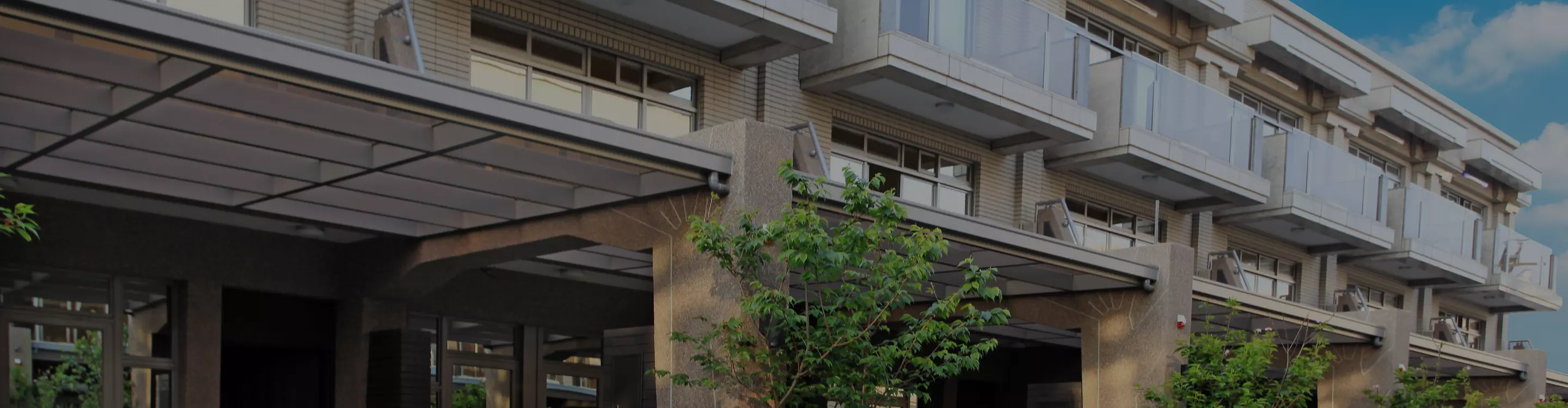 新傳建設有限公司